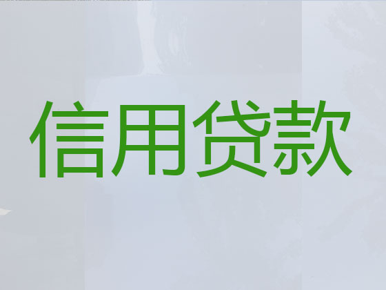 汉中信用贷款中介公司